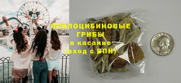 ГАЛЛЮЦИНОГЕННЫЕ ГРИБЫ Волоколамск