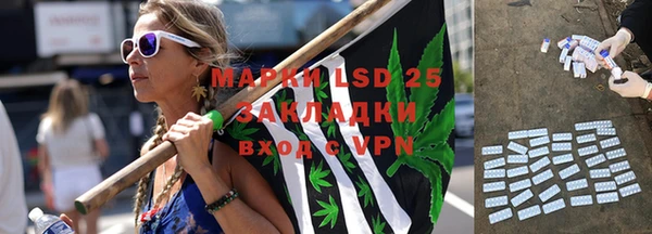 ПСИЛОЦИБИНОВЫЕ ГРИБЫ Вязники