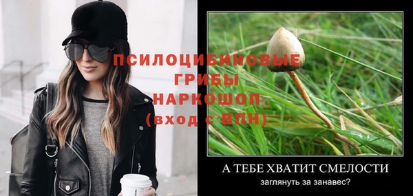 мдма Вяземский