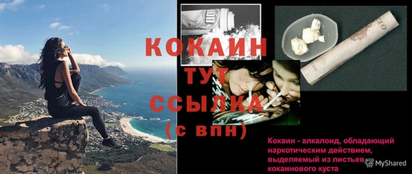 молекула духа Семикаракорск