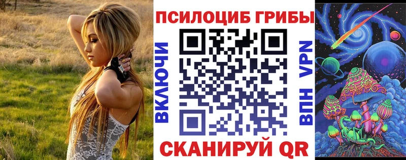 Галлюциногенные грибы мицелий  маркетплейс клад  Зуевка  купить наркотики цена 