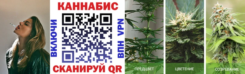 Бошки Шишки MAZAR  Зуевка 